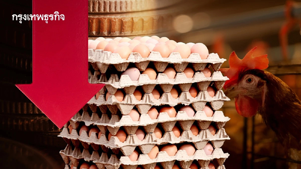 ราคาไข่ไก่วูบ! หน้าฟาร์มเหลือ 3.20 บาท เหตุ 'อากาศเย็น-ผลผลิตล้น'