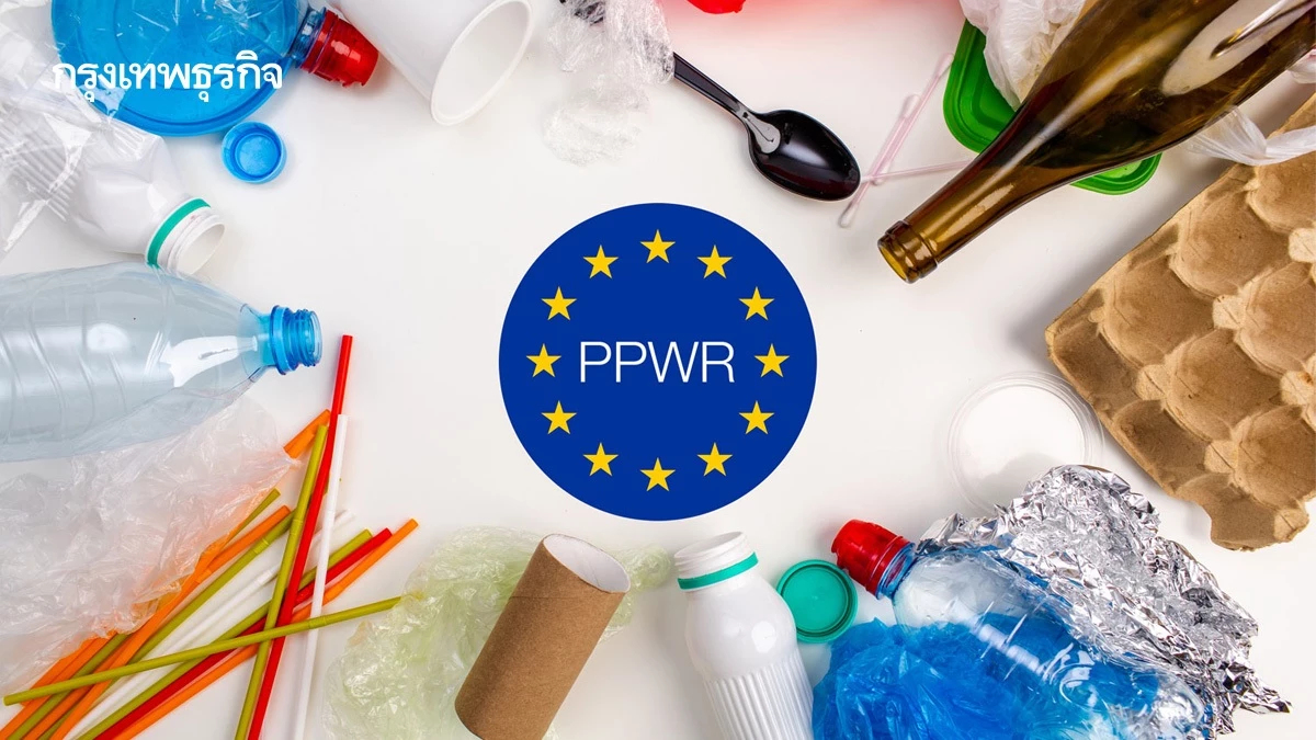 กติกาโลกใหม่ EU รื้อระบบบรรจุภัณฑ์ 'PPWR' ทางรอดเดียวของธุรกิจส่งออกไทย