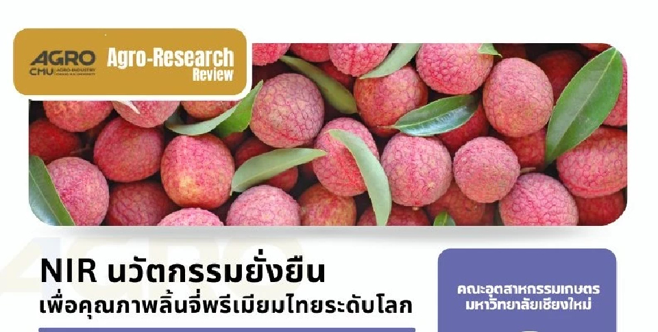 มช.โชว์งานวิจัย เทคโนโลยี NIR ตรวจคุณภาพลิ้นจี่ คัดเกรดได้แม่นยำ