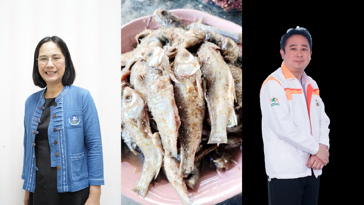 กระตุ้นคนไทยเลิกกินปลาดิบ เตรียมจัดใหญ่ 'มะเร็งท่อน้ำดีโลก'