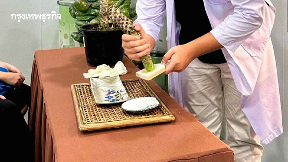 'เพ ลา เพลิน' ท่องเที่ยวเชิงสุขภาพ  เพิ่มมูลค่า 'สมุนไพร' ผุดแล็บวาซาบิ