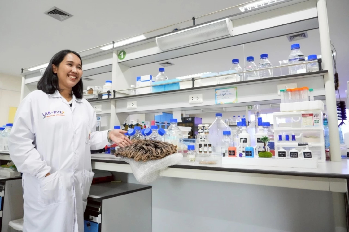 ม.วลัยลักษณ์เปลี่ยนทะลายปาล์มเหลือทิ้งราคา 1 สตางค์ สู่สารชีวเคมีมูลค่าหลักล้าน