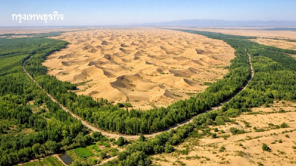 ‘จีน’ เปลี่ยนทะเลทรายให้เขียวชอุ่ม ด้วย ‘แบคทีเรีย’ ยึดเกาะดินเป็นแผ่นให้พืชโตได้