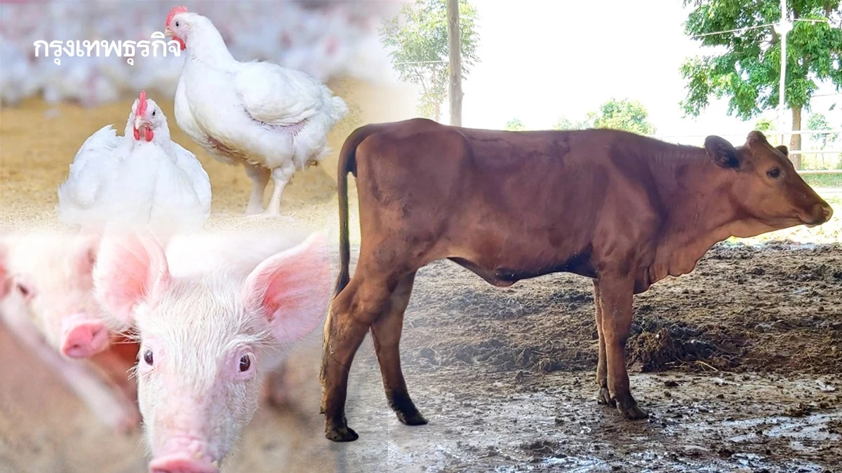 สศก. แนะเปลี่ยนเกมตลาดโปรตีน ไม่เน้นปริมาณแต่สร้างมูลค่า