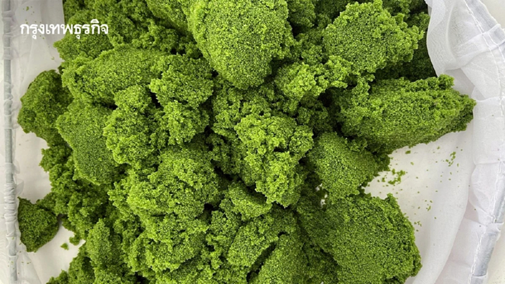 กรมวิชาการเกษตร ลุย ถ่ายทอดเทคโนโลยีผลิต “ผำ”ดันพืชโปรตีนอนาคตบุกตลาดโลก