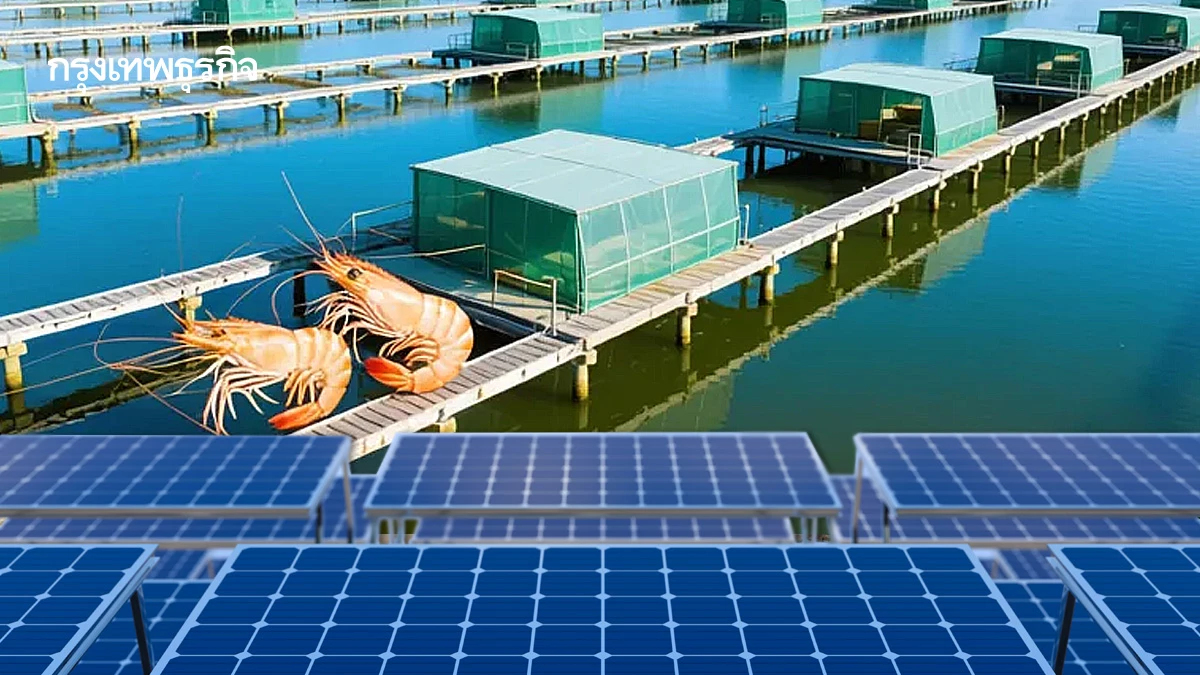 ‘อาหารสุขภาพ-เอไอ’เคลื่อนอุตฯประมงปี69 ‘เกษตร’แจกแสนบาทแลกใช้นวัตกรรมในฟาร์ม