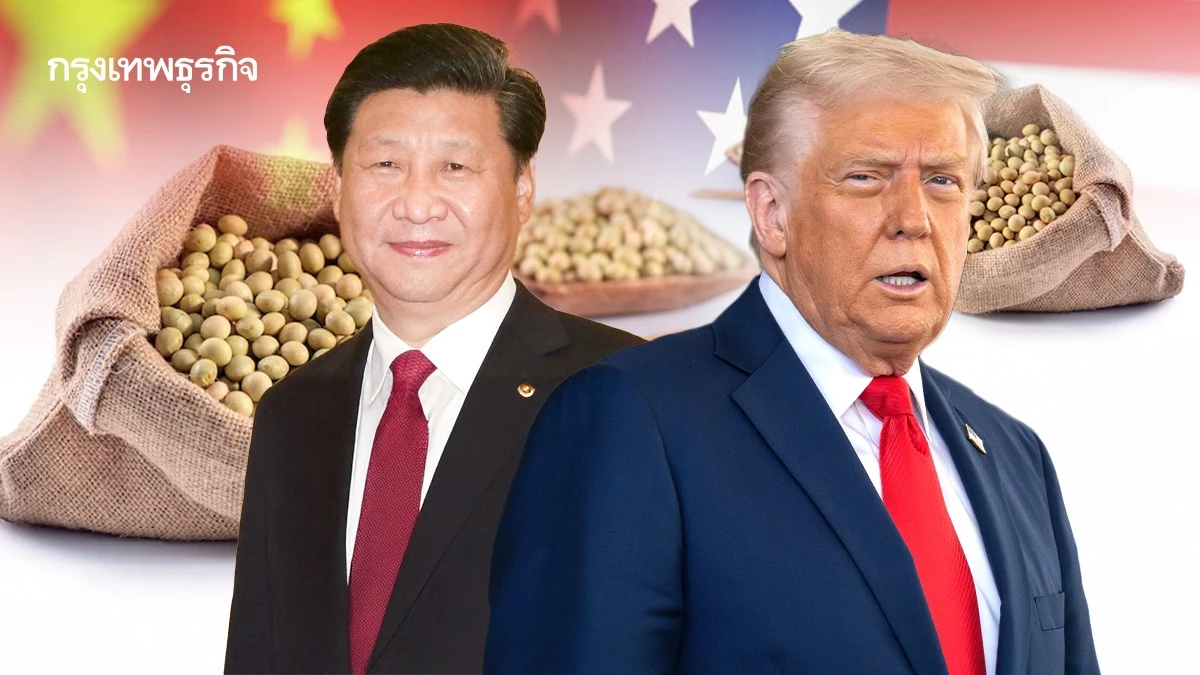 ‘ค้อนภาษี’ หลุดจากมือทรัมป์ จีนไม่ต้องรีบปิดดีลถั่วเหลือง บราซิลราคา ‘ถูกกว่า’ ชัดเจน