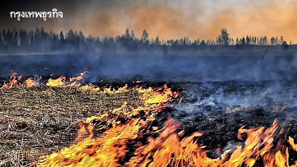 ปภ. ประสานจังหวัดลุยเชิงรุก ยกระดับแก้ปัญหาฝุ่น PM2.5 เข้มบังคับใช้กฎหมายคุมเผา