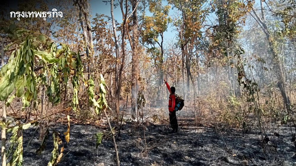 สบอ.14 ลาดตระเวนเข้ม 5 จังหวัดภาคเหนือ พบไฟป่า 11 จุด เสียหายรวม 79 ไร่