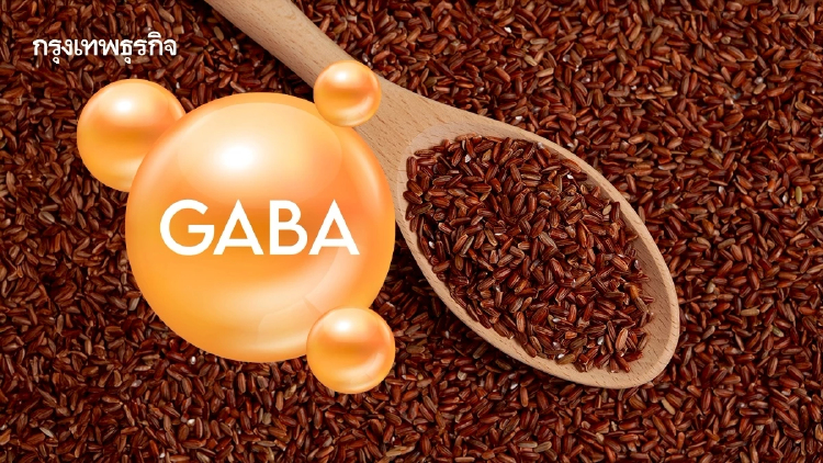 รู้จัก GABA ผ้าเบรกสมองจากธรรมชาติ ช่วยคลายเครียด นอนหลับดี