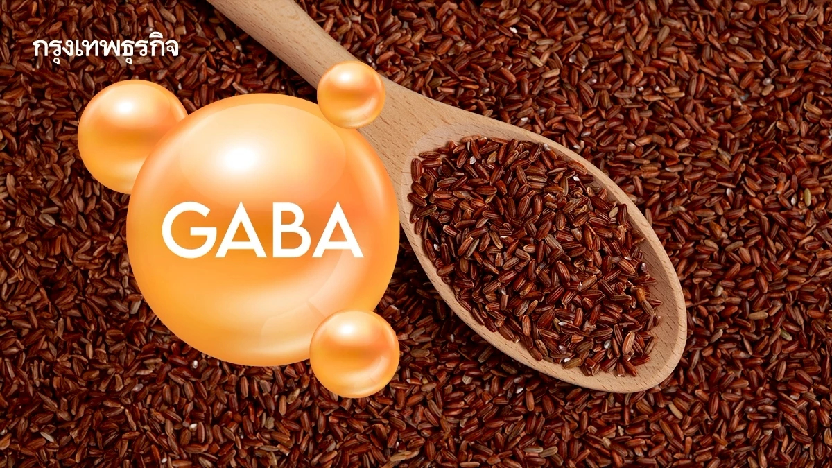 รู้จัก GABA ผ้าเบรกสมองจากธรรมชาติ ช่วยคลายเครียด นอนหลับดี