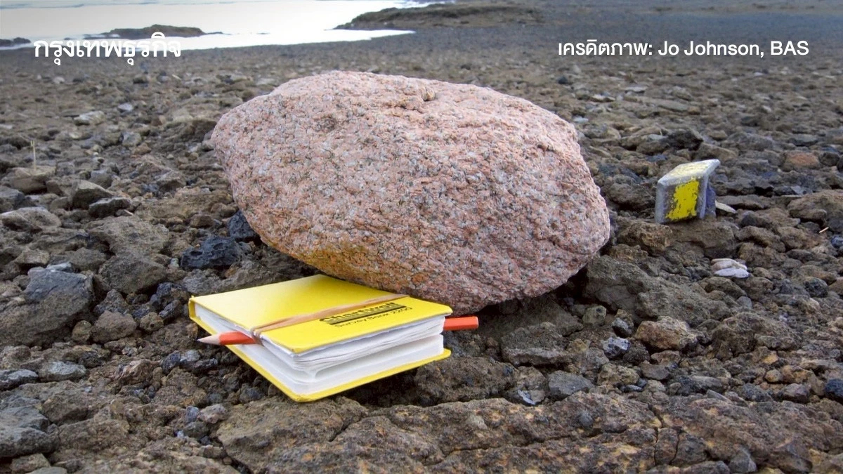 ‘หินสีชมพู’ ในแอนตาร์กติกา ยาว 100 กม. ตัวกำหนดการละลายธารน้ำแข็ง-น้ำท่วมโลก