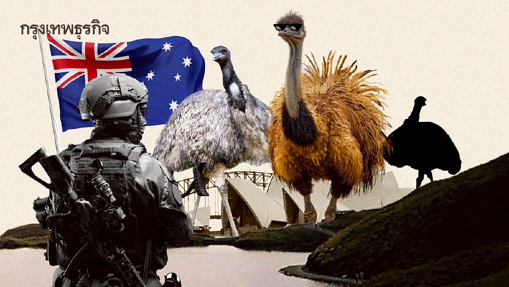 ‘สงครามนกอีมู’ บทเรียนราคาแพงของ ‘ออสเตรเลีย’ มนุษย์แพ้ยับเยิน เพราะลืมศึกษาพฤติกรรมสัตว์