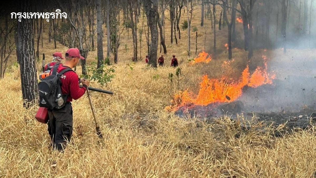คุมได้แล้ว 'ไฟป่าสะแกราช' พบเสียหายกว่า 6,000 ไร่ เฝ้าระวังเข้มสกัดลักลอบเผา