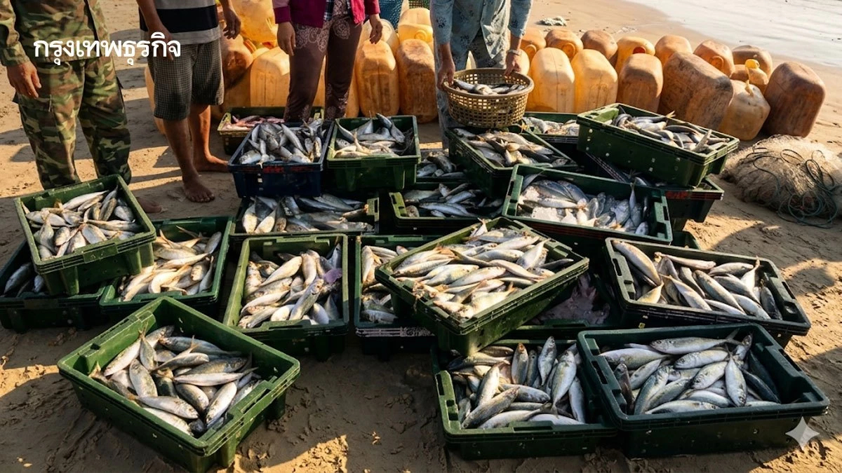 ห่วงโซ่อาหารทะเลเข้มงวด ไทยดัน ‘ปลาป่นยั่งยืน’ สู่ Green Feed รับแรงกดดันรีเทล