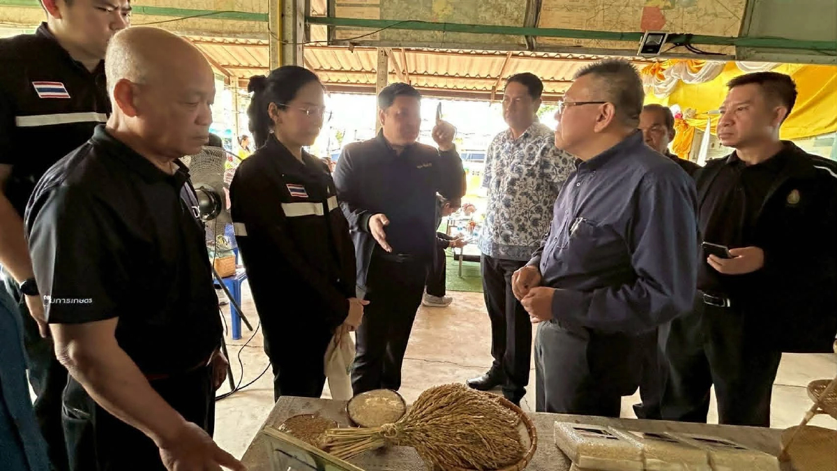 ดัน 'ข้าวหอมจันทร์' ขึ้นทะเบียน GI ยกระดับข้าวพรีเมียมฉะเชิงเทรา