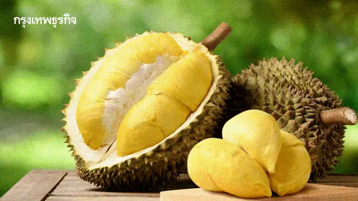 ส่งออกทุเรียนสดไปจีน2เดือนแรกปี69โต 303%  จับตาตลาด‘มาเลเซีย-เวียดนาม’โตแรง1,200%