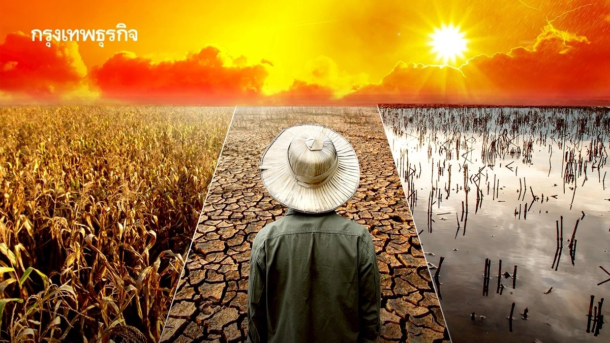 ‘ภัยแล้งฉับพลัน’ เกิดบ่อยรุนแรงขึ้น เร็วจนรับมือไม่ทัน เมื่อความร้อน+แล้งมาเจอกัน 