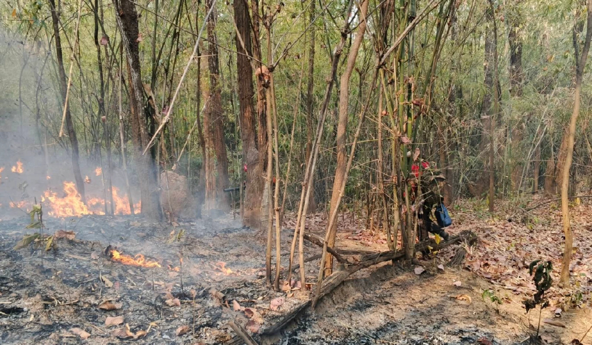 ไฟป่าลำปางลาม 3 จุด เผาวอดป่าเบญจพรรณกว่า 140 ไร่ เจ้าหน้าที่รุดสกัด