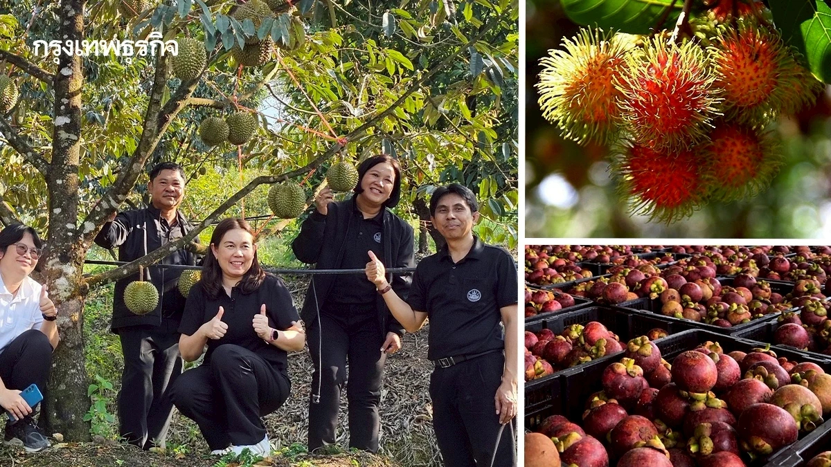 เปิด 4 มาตรการรับมือผลไม้ปี 69 หนุนสหกรณ์ดันสินค้า GI ขึ้นห้าง
