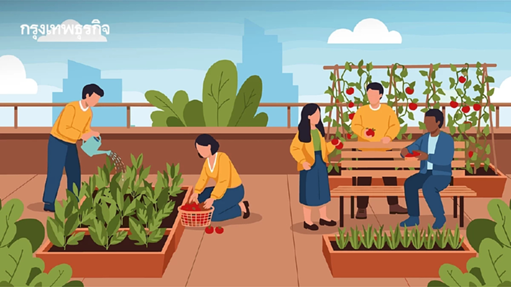 'เกษตรในเมือง' ปลูกผักเยียวยาเมือง ปลูกสุขภาวะคนกรุง