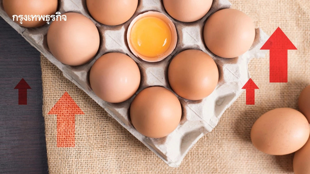 ราคาไข่ไก่ ล่าสุด! ปรับขึ้นแผงละ 6 บาท มีผลพรุ่งนี้ (16 มี.ค. 69)