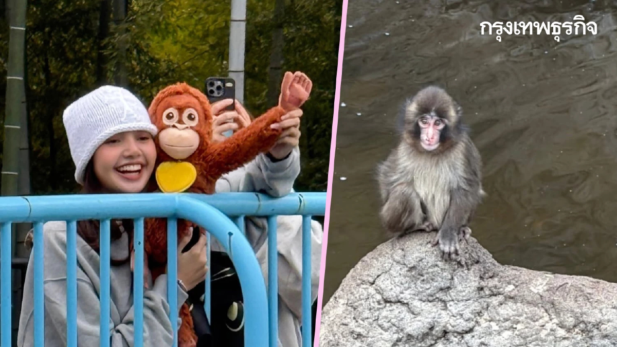'ลิซ่า' เที่ยวญี่ปุ่น ซุ่มดูความน่ารัก พันช์คุง ลูกลิงหิมะสุดฮอต