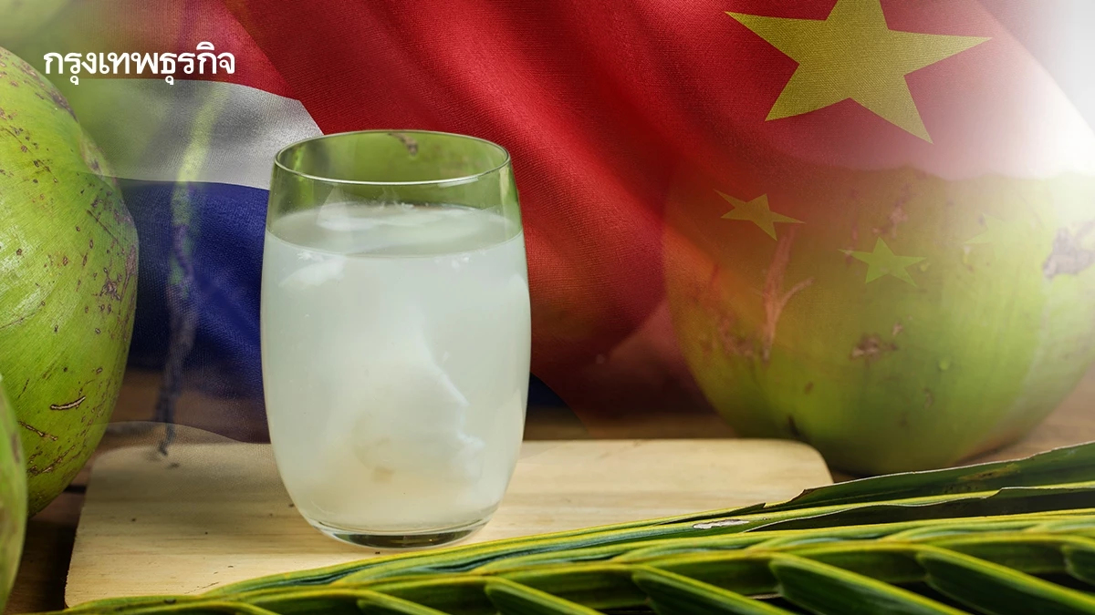 พาณิชย์ ชี้ช่องไทย ชูจุดเด่น  ‘มะพร้าวธรรมชาติ’  รุกตลาดพรีเมียม ‘จีน’ 