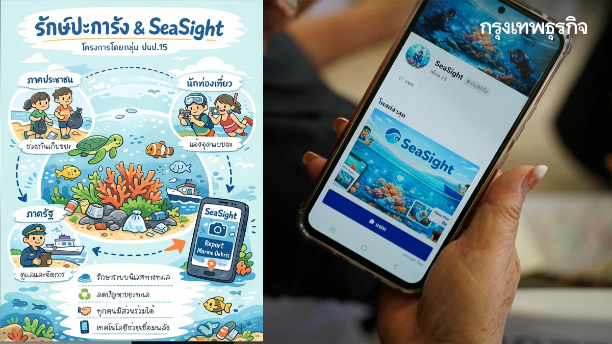 น้องเต่าไม่เศร้าแล้ว! 'SeaSight' LINE OA แก้ขยะทะเลและปะการัง