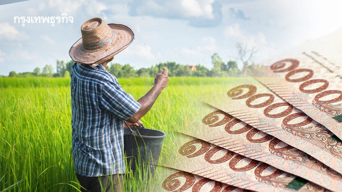 เปิดมาตรการช่วยชาวนา ปี 69 รับซื้อข้าวสูงกว่าตลาด-แจกส่วนลดปุ๋ย