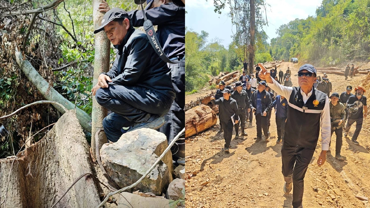 ตรวจป่าต้นน้ำระนองแหว่ง จ่อลากคอตัวการตัดไม้ ชง ปปง. อายัดยึดทรัพย์