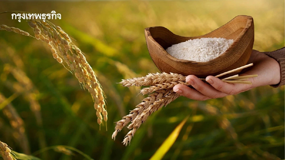 ฮอร์มุซสะเทือน 'ข้าวไทย' ! ส่งออกตะวันออกกลางหด