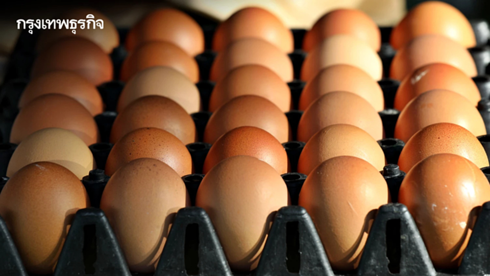 'ไข่ไก่' ขึ้นอีก เครือข่ายสหกรณ์ฯ แจ้งปรับราคาขึ้นแผงละ 6 บาท มีผล 28 มี.ค.นี้