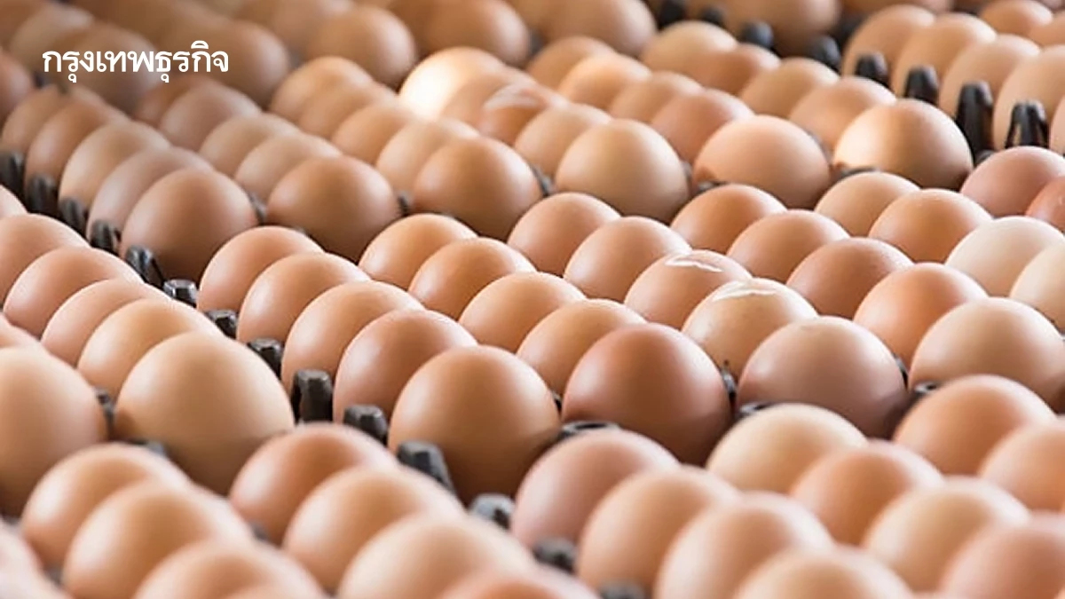 ไขปริศนา ทำไมไทยถึงยุค ‘ไข่’ ถูกกว่าบะหมี่กึ่งสำเร็จรูป