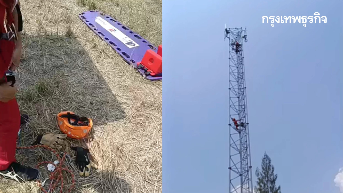 ด่วน ยังไม่ลง ชายขโมยสายไฟ มอเตอร์เวย์ M6 ปีนเสาสื่อสาร หนีความผิด