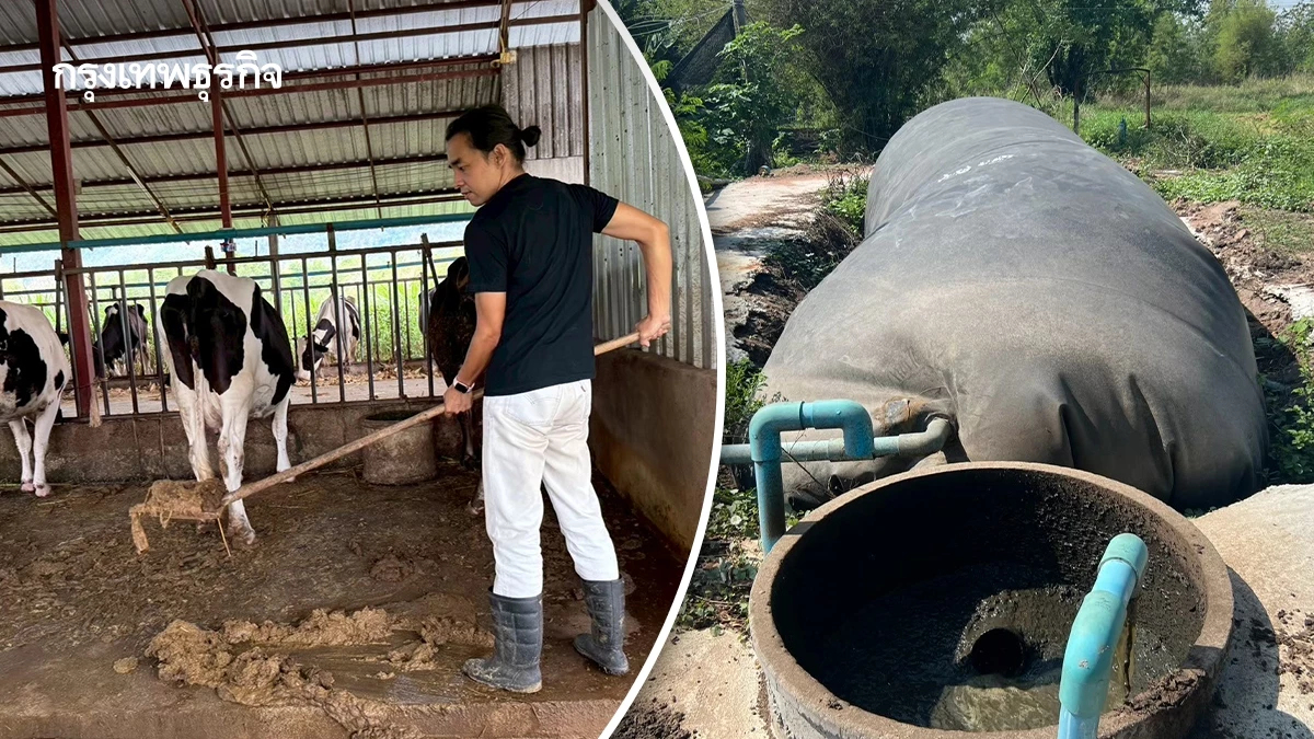 สศก. ชี้ Biogas โคนมลดก๊าซ 86.55% ฟาร์มใหญ่รับกำไร 4,064 บาท