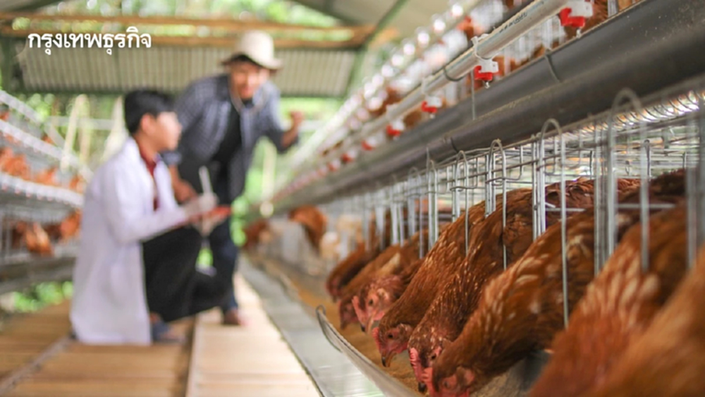 เจาะการปฏิวัติสวัสดิภาพสัตว์หลักล้าน ปั้นไทยสู่ 'Global Food Hub'