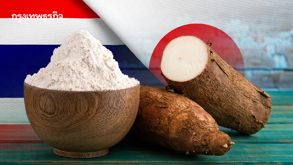 ไทยรุกตลาด'มันสำปะหลัง' ญี่ปุ่น ! ปั้น 'แป้งมันพรีเมียม' ชูจุดเด่น Gluten-free ท้าชนคู่แข่ง