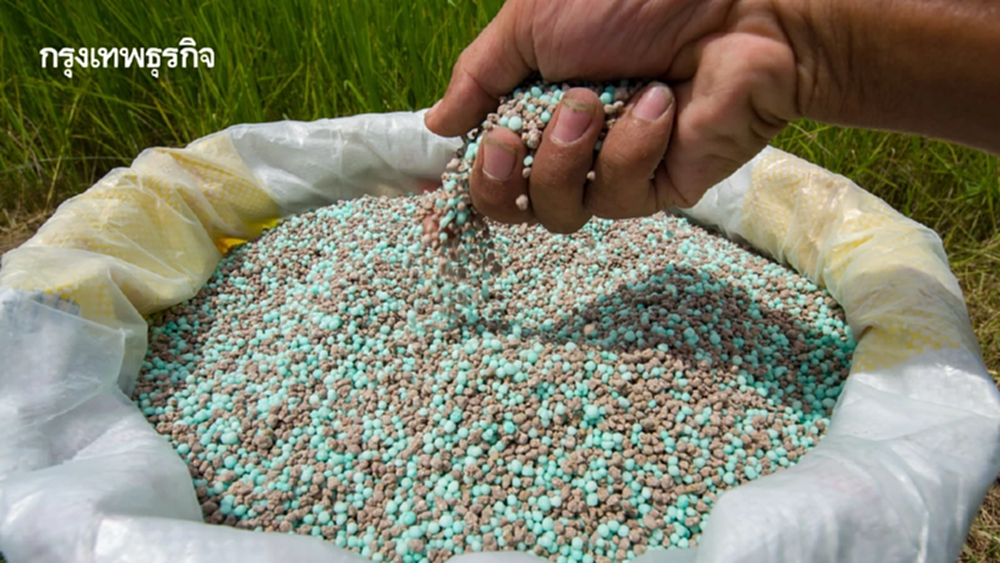 รัฐบาลการันตี ‘ปุ๋ยยูเรีย’ ไม่ขาดแคลน สำรอง 8.5 ล้านกระสอบ ใช้ได้ถึง ส.ค.ปีนี้