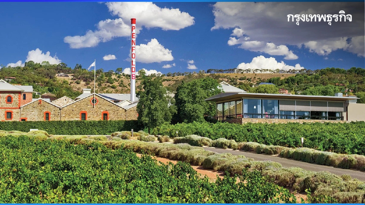 Penfolds (เพนโฟลด์ส) กับการขยายอาณาจักร