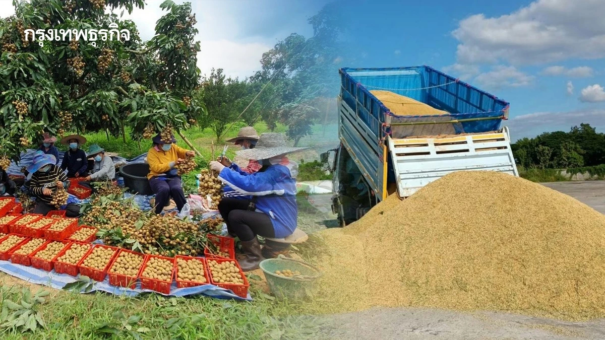 สต๊อก น้ำมันสหกรณ์ เหลือ 61 ล้านลิตร  วางเป้าใช้‘พลังงานสะอาด’ทดแทน