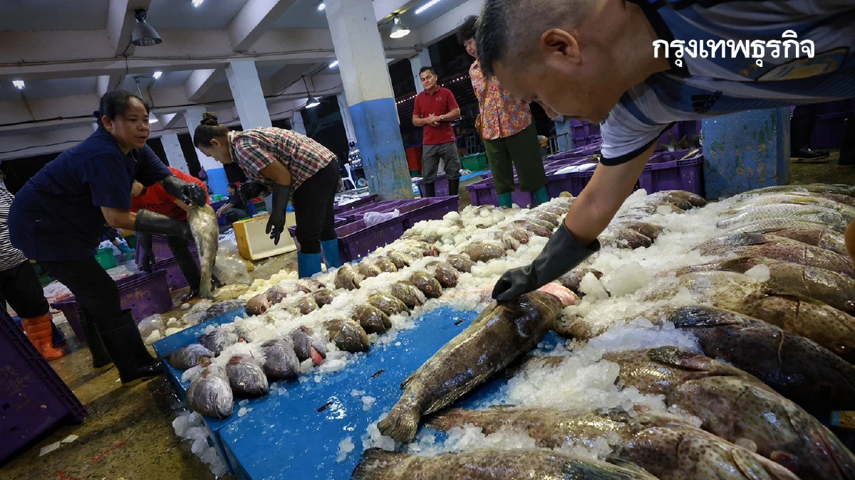 น้ำมันแพง กระทบ แพปลา เรือจอดสนิท วอนรัฐ คุมเข้มราคา ก่อนของแพงอีก