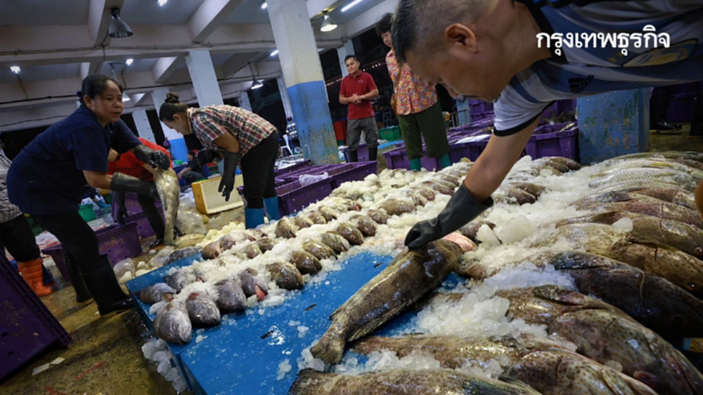 น้ำมันแพง กระทบ แพปลา เรือจอดสนิท วอนรัฐ คุมเข้มราคา ก่อนของแพงอีก