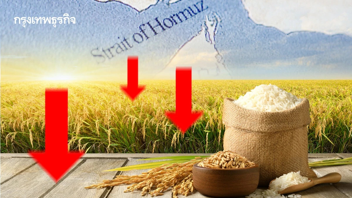 ฮอร์มุซสะเทือน 'ข้าวไทย' ! ส่งออกตะวันออกกลางหด