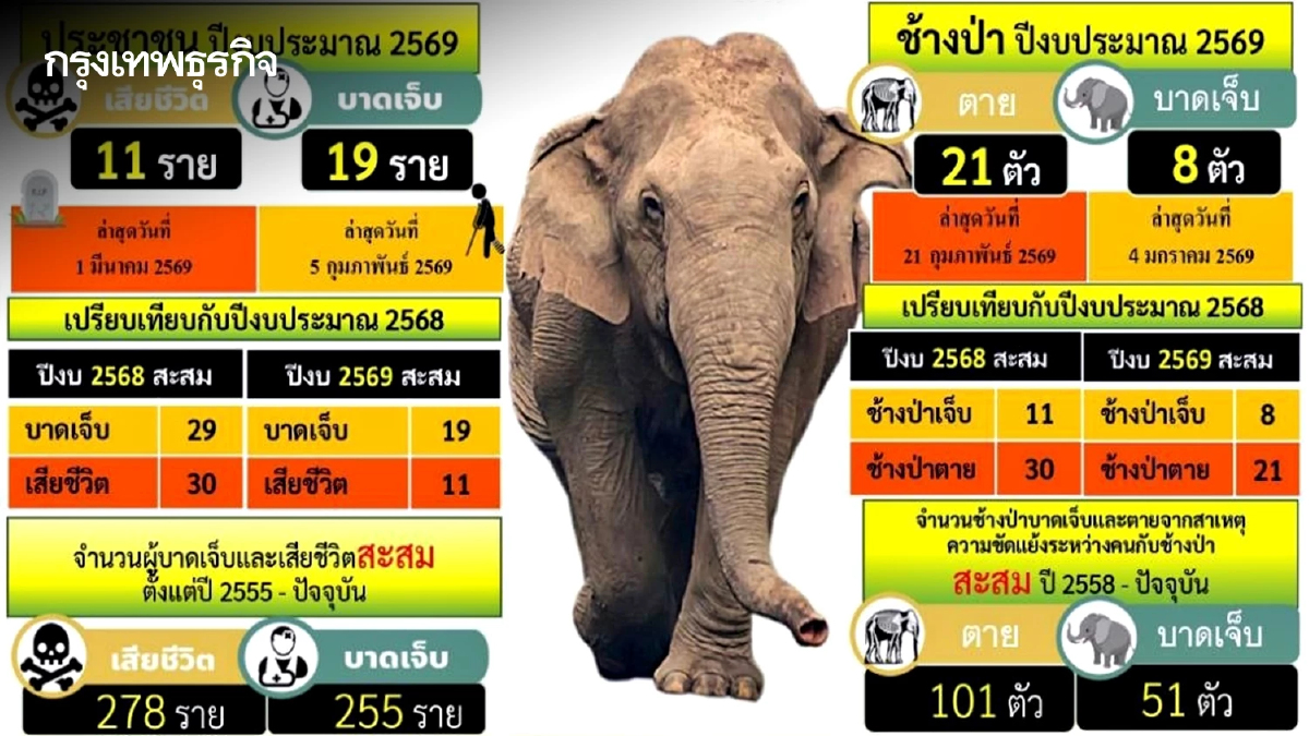 งวดแรกมาแล้ว! กรมอุทยานฯ จ่าย 7.3 ล้าน เยียวยา 70 ราย ได้รับผลกระทบจากช้างป่า