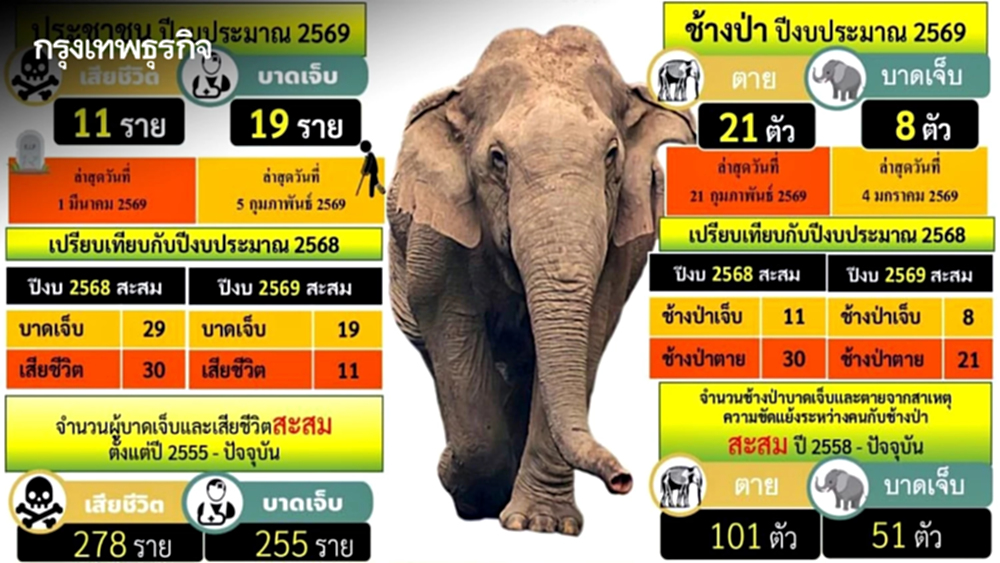 งวดแรกมาแล้ว! กรมอุทยานฯ จ่าย 7.3 ล้าน เยียวยา 70 ราย ได้รับผลกระทบจากช้างป่า