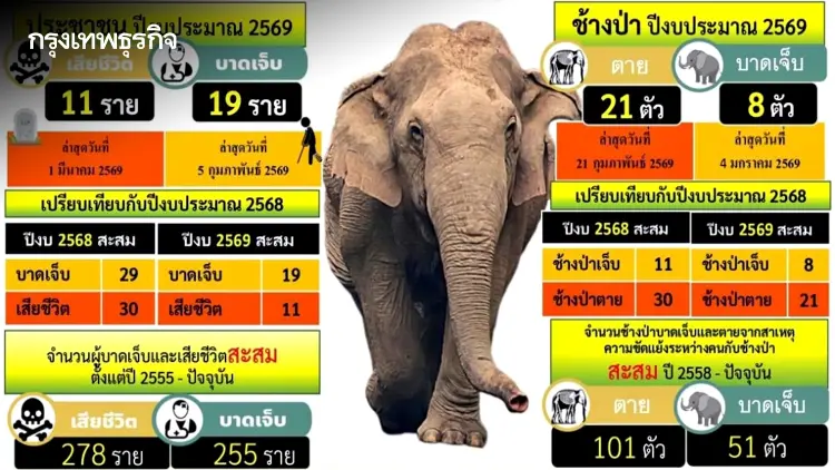 งวดแรกมาแล้ว! กรมอุทยานฯ จ่าย 7.3 ล้าน เยียวยา 70 ราย ได้รับผลกระทบจากช้างป่า