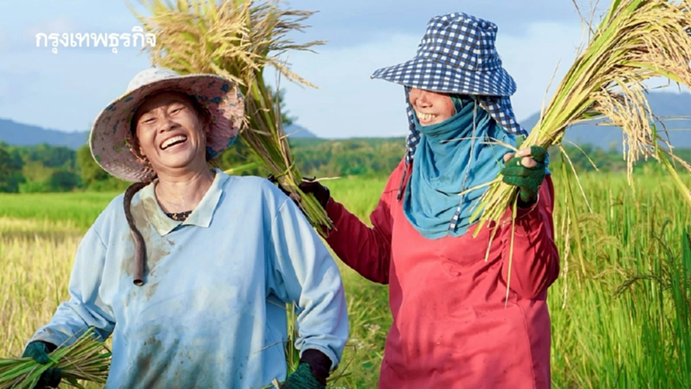 ไทยความมั่นคงอาหารปี 68 เกณฑ์ดี สศก. ลุยแผนจัดการระยะ 2