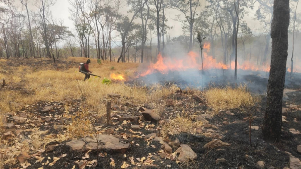 วิกฤตไฟป่าลาม! จุดความร้อนไทยพุ่ง 1,967 จุด พื้นที่ป่าสงวนหนักสุด