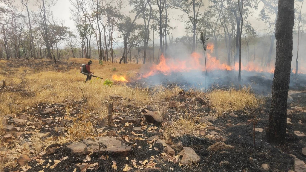 วิกฤตไฟป่าลาม! จุดความร้อนไทยพุ่ง 1,967 จุด พื้นที่ป่าสงวนหนักสุด